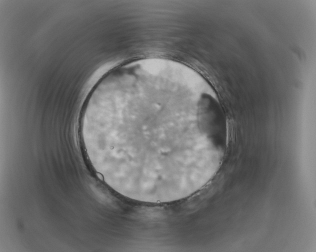 X0000113230147200910221047