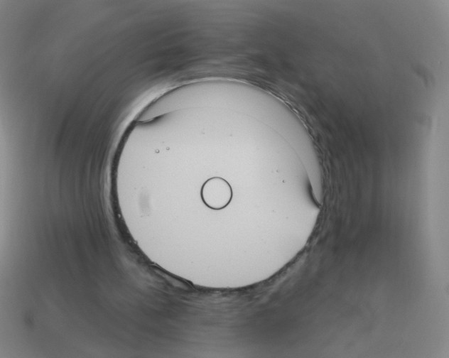 X0000113230148200910221047