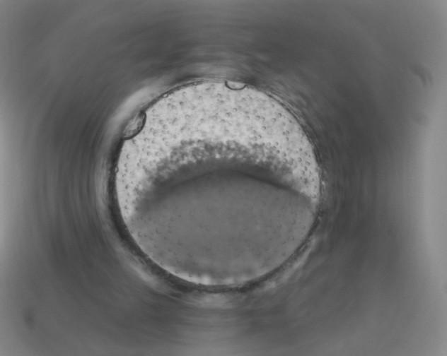 X0000113230149200910221047