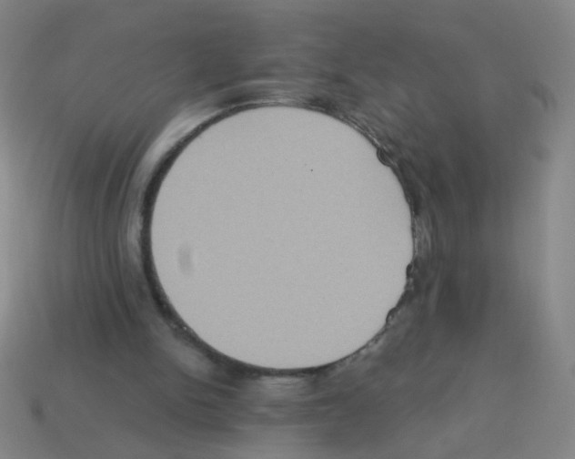 X0000113230150200910221047