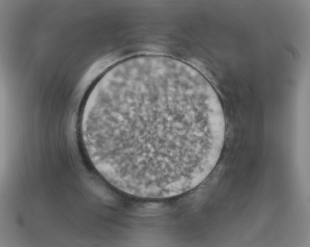 X0000113230151200910221047