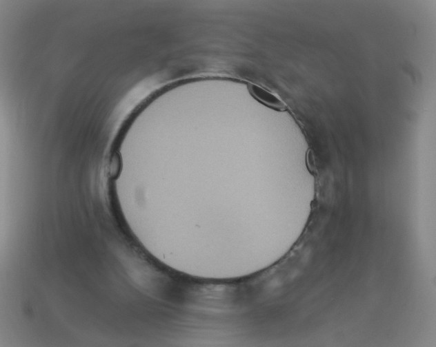 X0000113230152200910221047