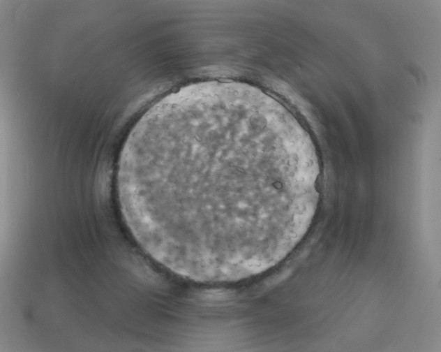 X0000113230153200910221047