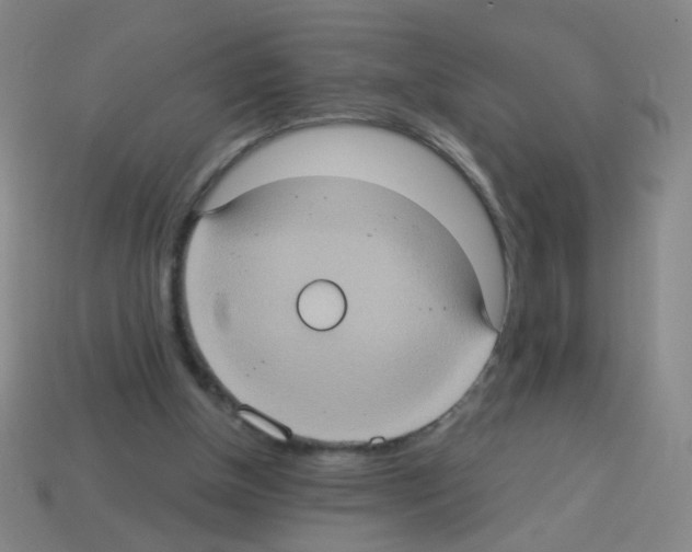 X0000113230154200910221047