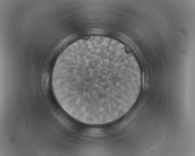 X0000113230157200910221047