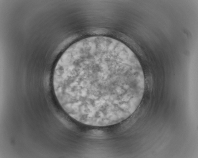 X0000113230159200910221047