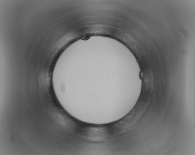 X0000113230160200910221047