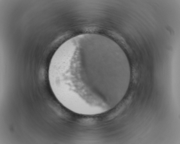 X0000113230161200910221047