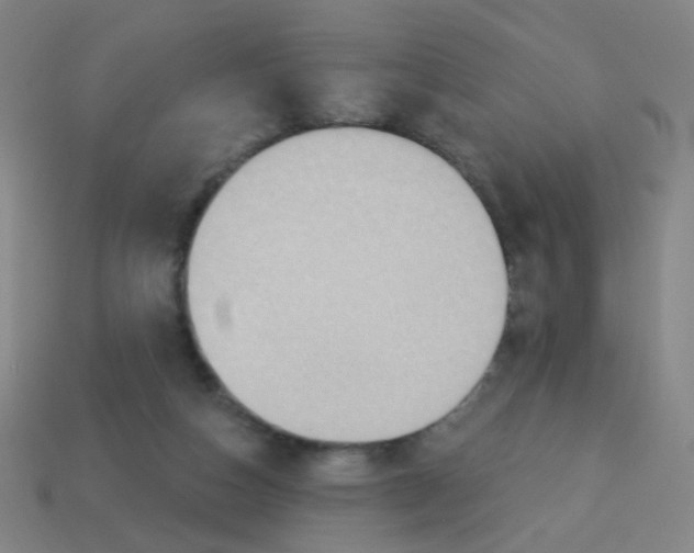 X0000113230162200910221047