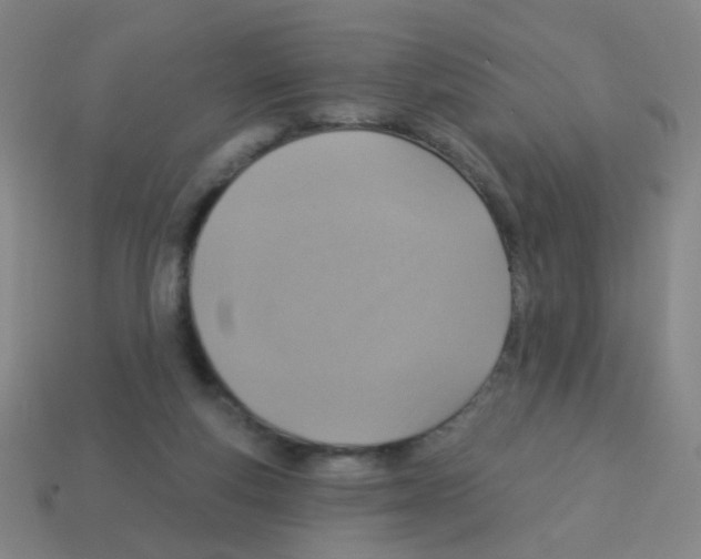 X0000113230163200910221047