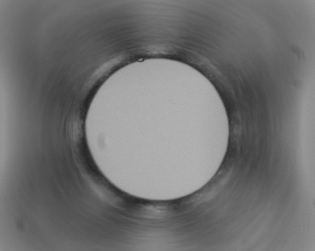 X0000113230164200910221047