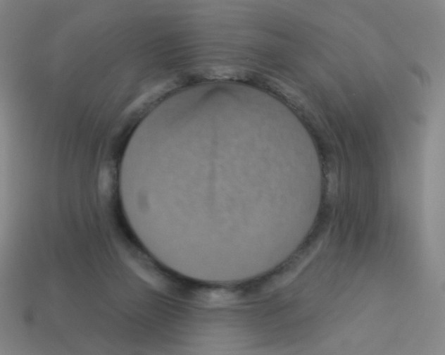 X0000113230165200910221047