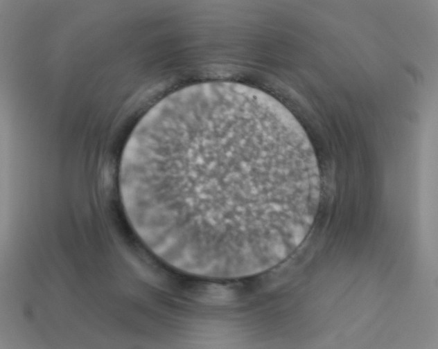 X0000113230166200910221047