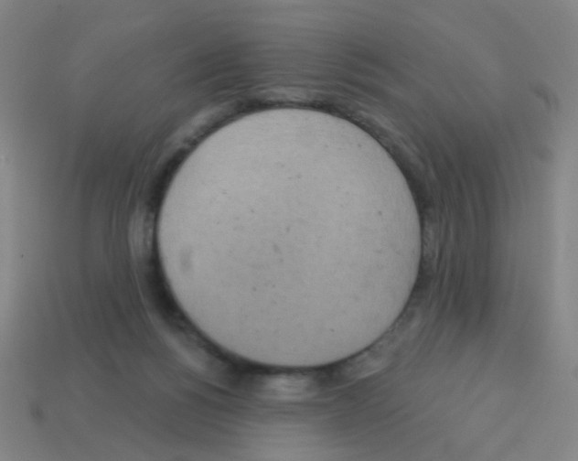 X0000113230168200910221047