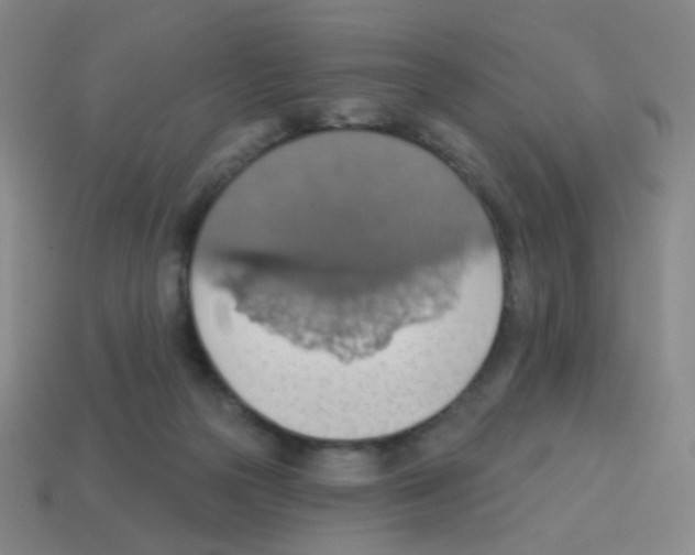 X0000113230169200910221047