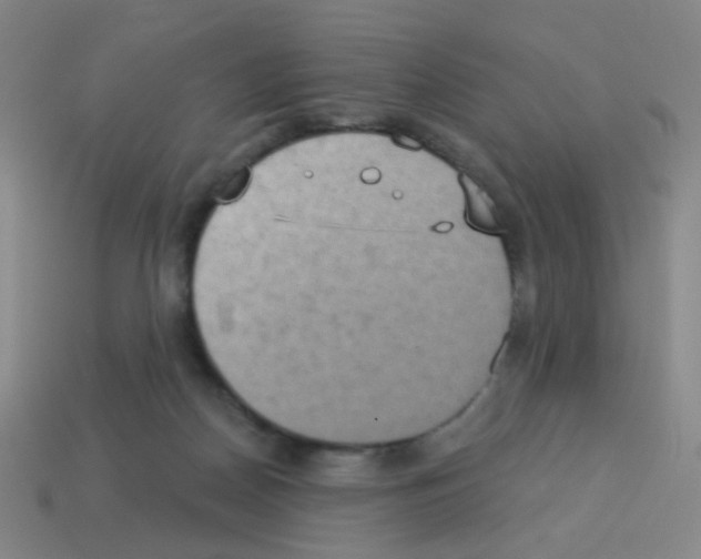 X0000113230170200910221047