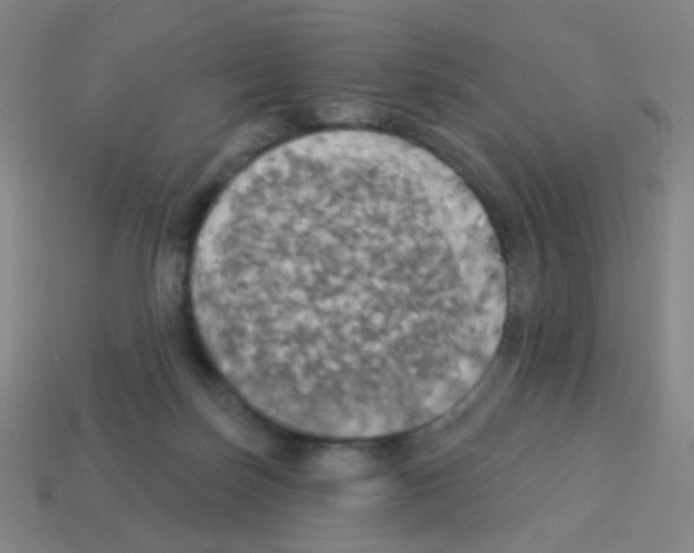 X0000113230171200910221047