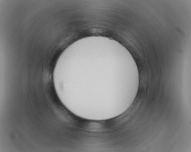 X0000113230176200910221047