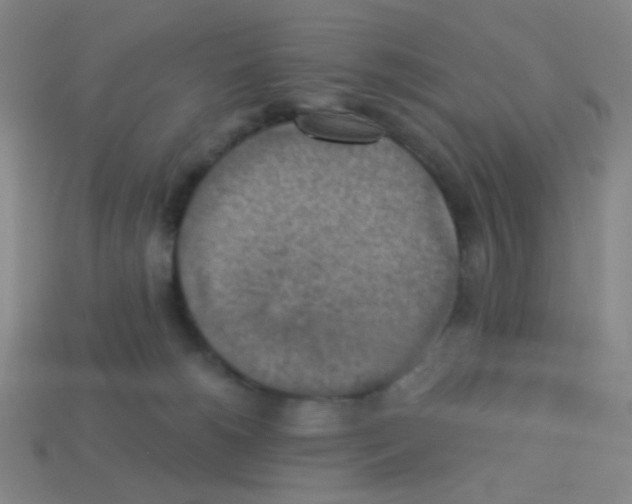 X0000113230180200910221047