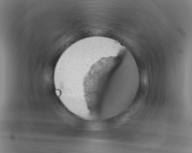 X0000113230181200910221047