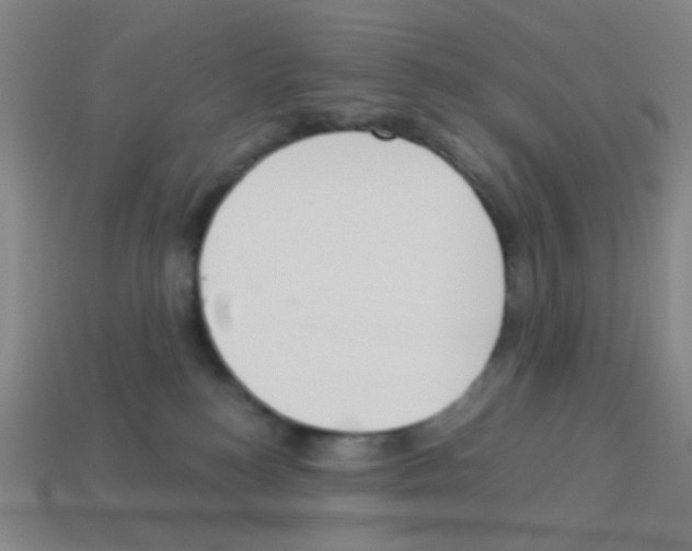 X0000113230184200910221047