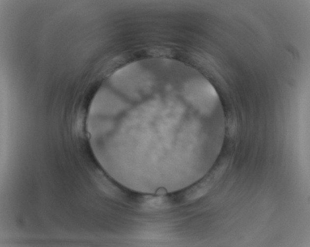 X0000113230185200910221047