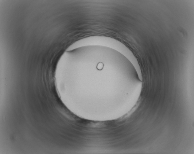 X0000113230186200910221047