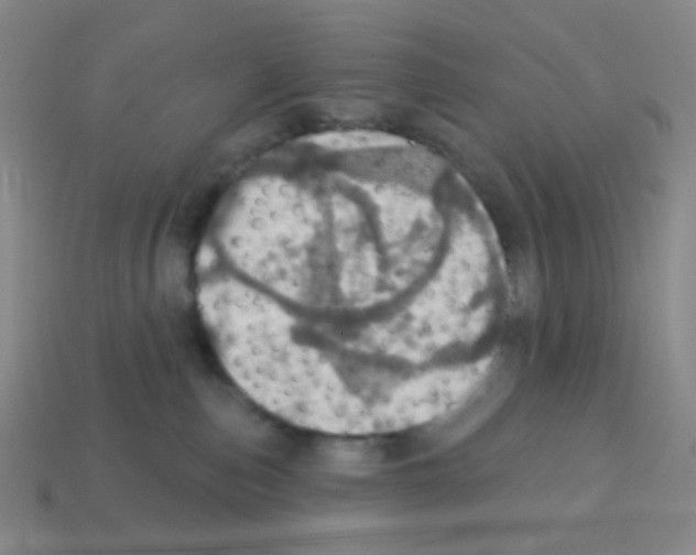 X0000113230187200910221047