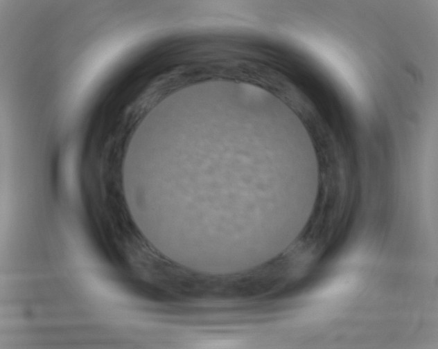 X0000113230189200910221047