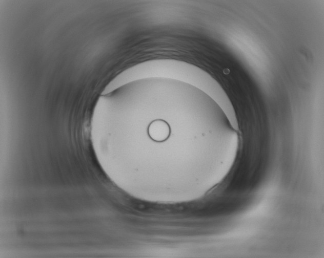 X0000113230190200910221047