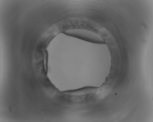 X0000113230192200910221047