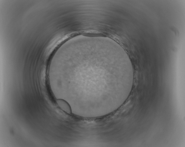 X0000113230194200910221046