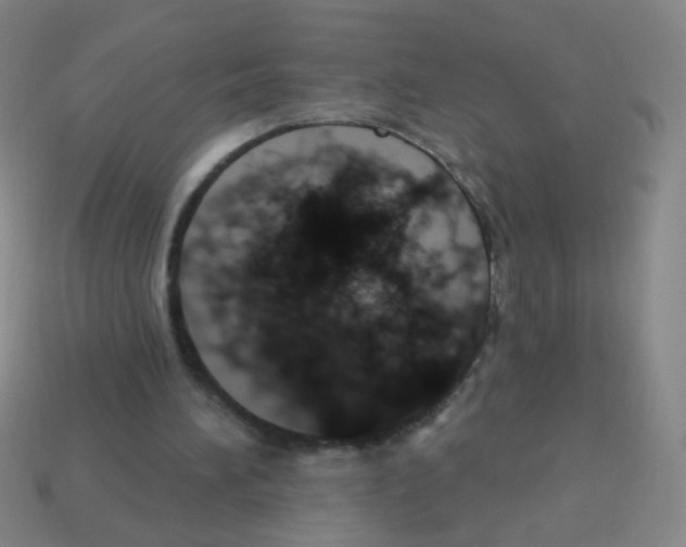 X0000113230196200910221046