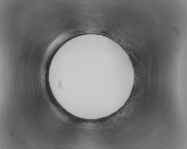 X0000113230197200910221046