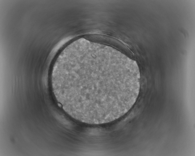 X0000113230200200910221046