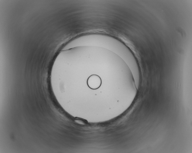 X0000113230201200910221046