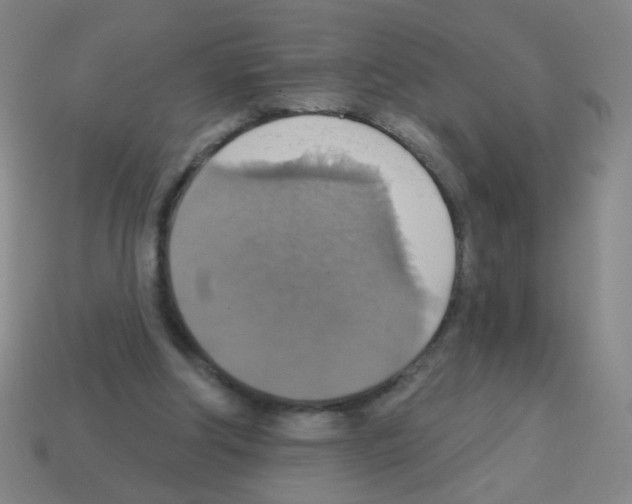 X0000113230202200910221046