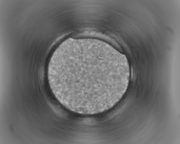 X0000113230204200910221046