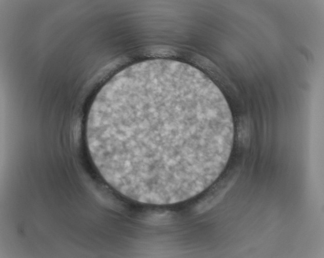 X0000113230206200910221046