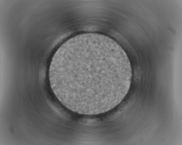 X0000113230208200910221046