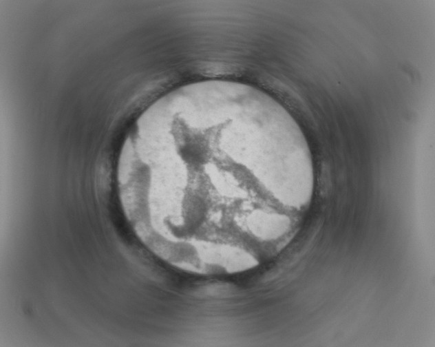 X0000113230210200910221046