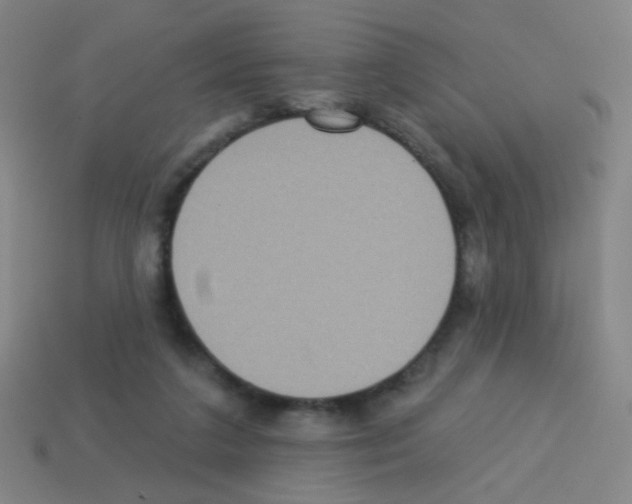 X0000113230211200910221046