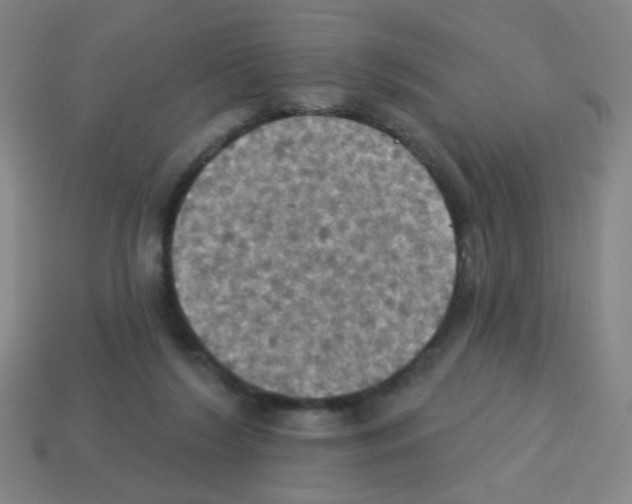 X0000113230212200910221046