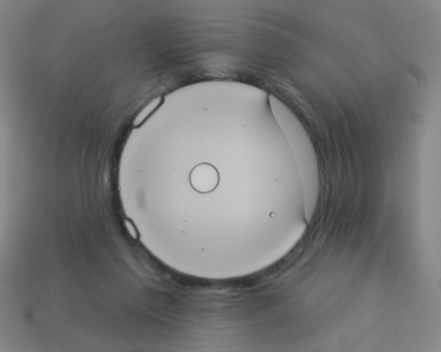 X0000113230213200910221046