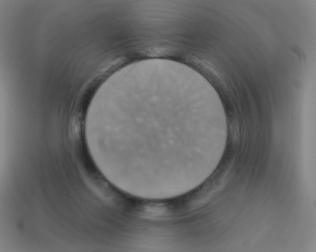 X0000113230214200910221046