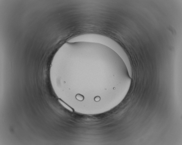 X0000113230215200910221046