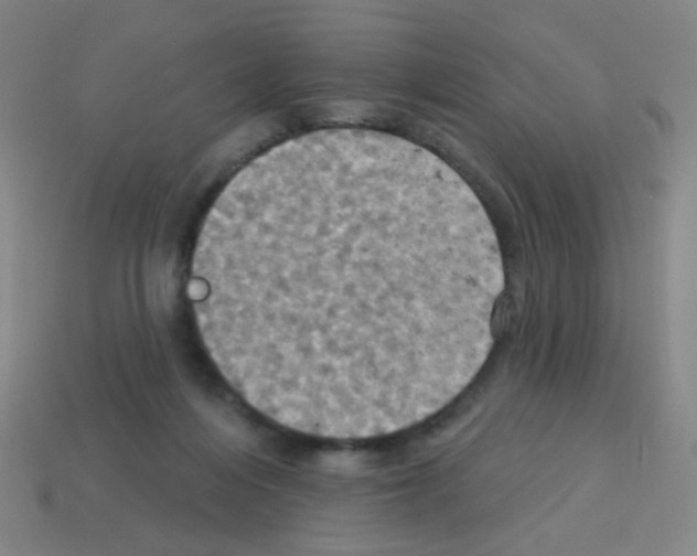 X0000113230216200910221046