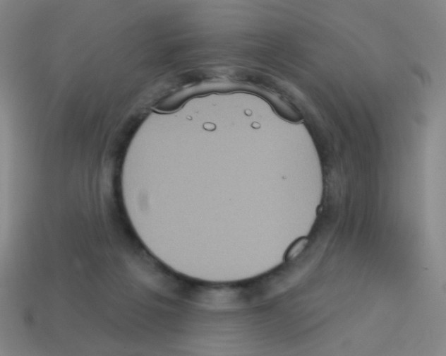 X0000113230217200910221046