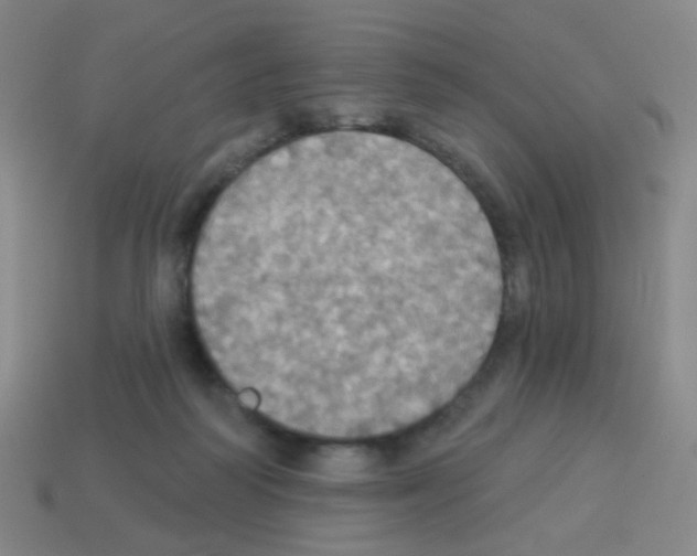 X0000113230218200910221046