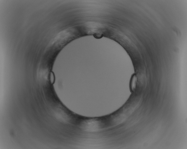 X0000113230219200910221046